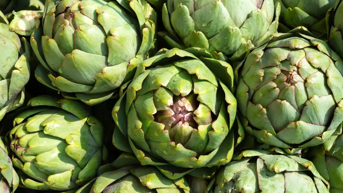 Bagaimana cara memasak artichoke dengan mudah? Semua metode yang Anda perlukan untuk memasak artichoke dengan sukses