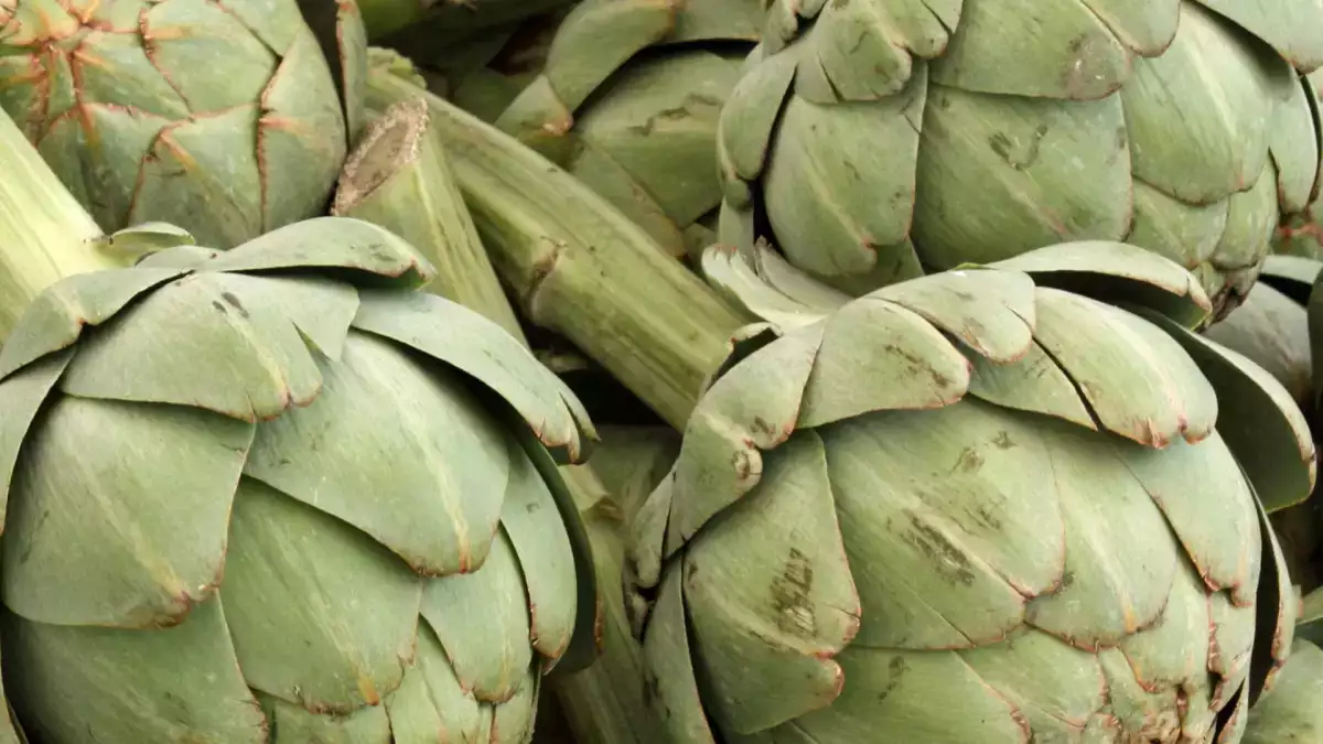 Cara memasak artichoke di dalam microwave dengan cepat dan aman