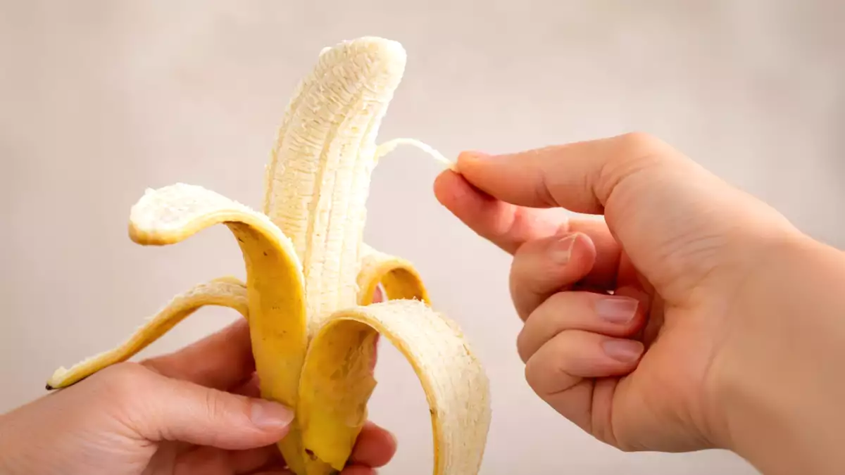 Apakah benang-benang pada pisang itu dan mengapa selalu muncul setiap saat?