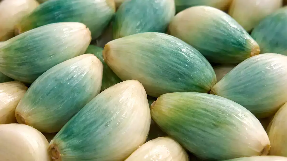 Bawang putih hijau atau biru di dapur Anda? Banyak orang membuangnya tanpa menyadari apa arti sebenarnya