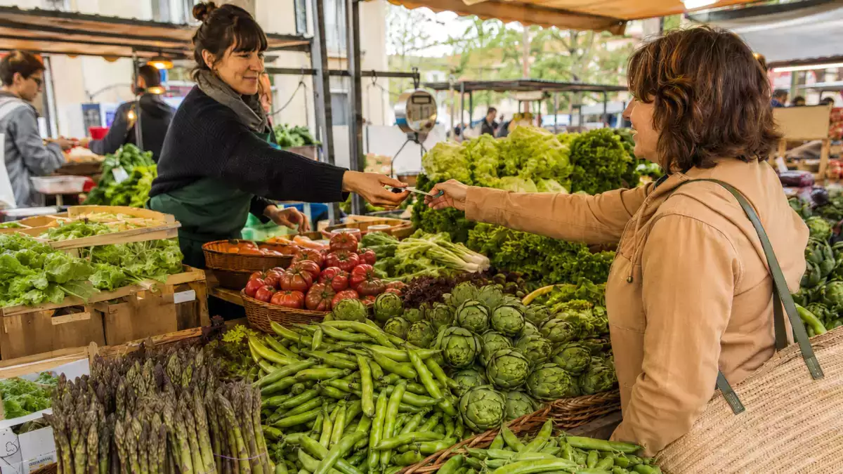 Go green musim semi ini: 10 resep kreatif dengan sayuran musiman