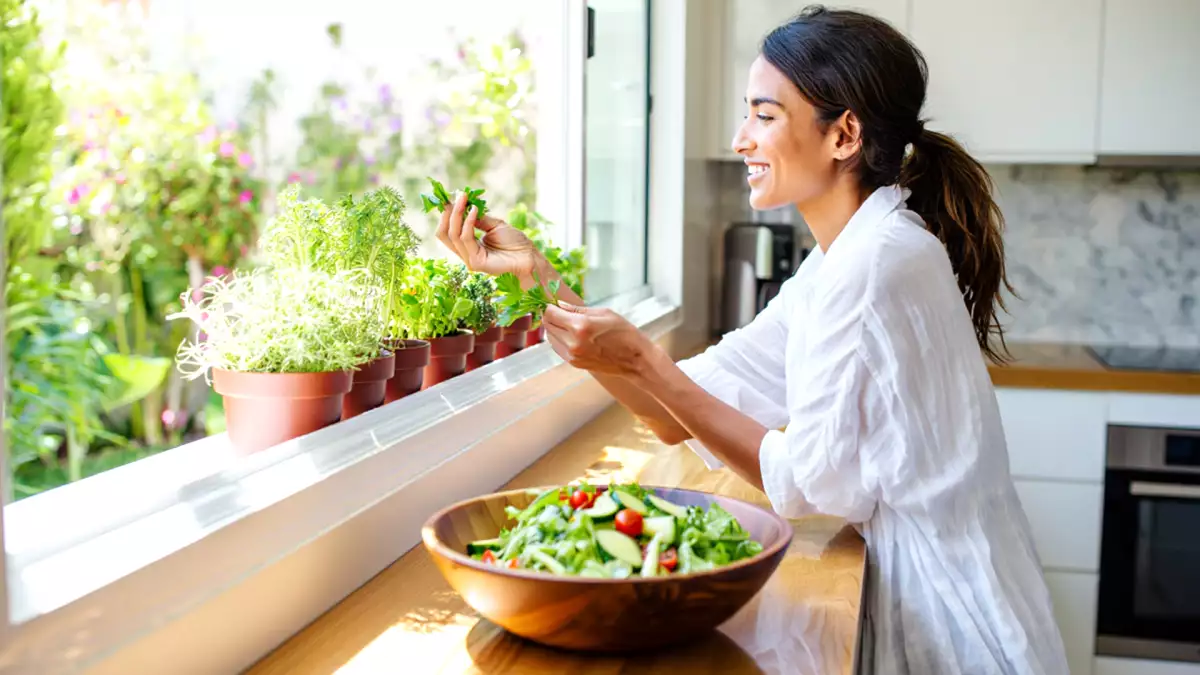5 bumbu dapur yang paling cocok hidup di dapur dan 5 bumbu dapur yang membutuhkan sinar matahari