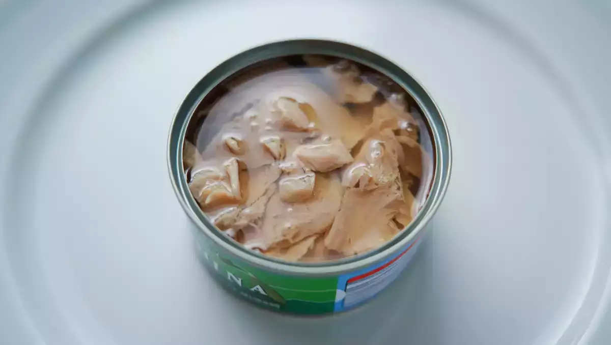 Di supermarket: cara mengenali tuna yang lebih rendah merkuri, dan refleks yang mudah diterapkan