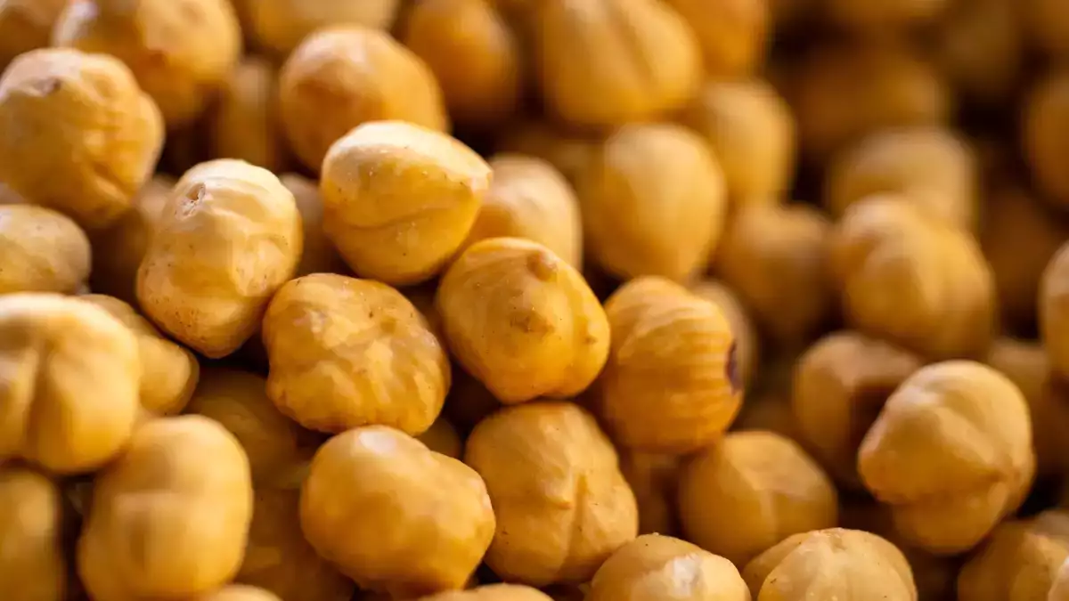 Bagaimana cara memasak kacang arab kering agar empuk tanpa harus memasaknya selama berjam-jam?
