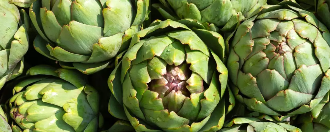 Bagaimana cara memasak artichoke dengan mudah? Semua metode yang Anda perlukan untuk memasak artichoke dengan sukses
