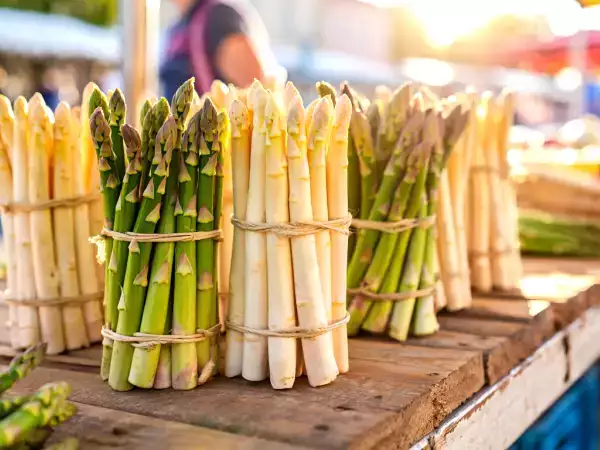 Asparagus: mengapa memakannya benar-benar dapat meningkatkan kesehatan Anda di musim semi?