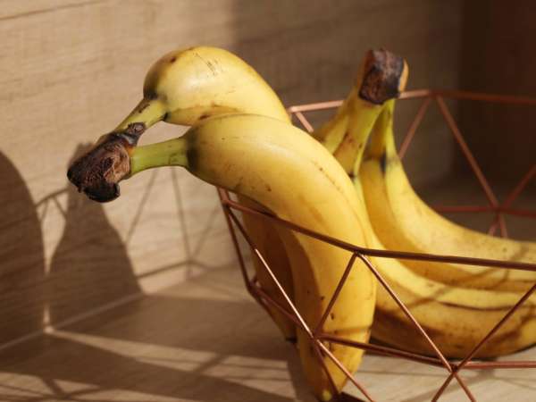 Haruskah Anda benar-benar menyimpan pisang di dalam kulkas - jawaban yang jelas