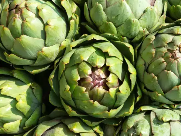 Bagaimana cara memasak artichoke dengan mudah? Semua metode yang Anda perlukan untuk memasak artichoke dengan sukses