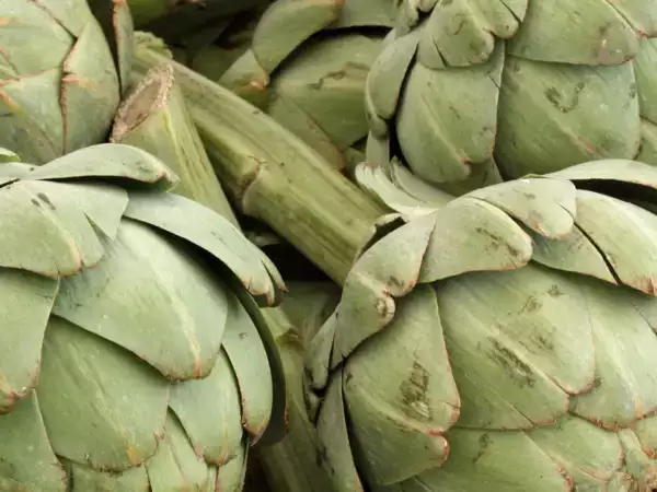 Cara memasak artichoke di dalam microwave dengan cepat dan aman