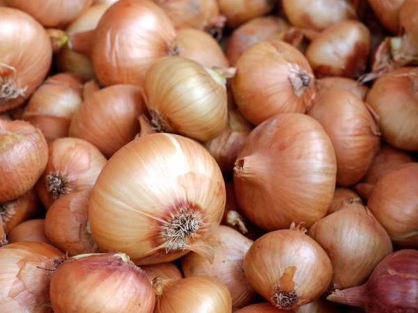 Anti-limbah: inilah alasan mengapa Anda tidak boleh membuang kulit bawang Anda ke tempat sampah!