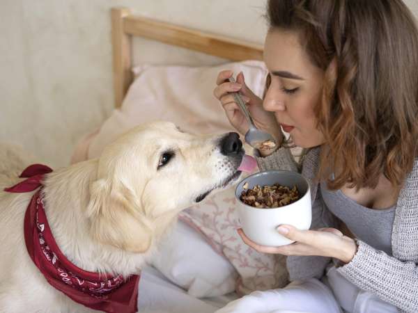 8 makanan yang tidak boleh Anda berikan pada anjing Anda!