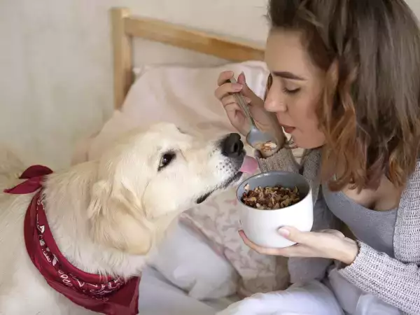8 makanan yang tidak boleh Anda berikan pada anjing Anda!