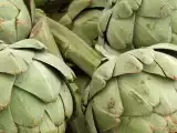 Artikel: Cara memasak artichoke di dalam microwave dengan cepat dan aman