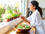 Artikel: 5 bumbu dapur yang paling cocok hidup di dapur dan 5 bumbu dapur yang membutuhkan sinar matahari