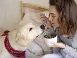 Artikel: 8 makanan yang tidak boleh Anda berikan pada anjing Anda!