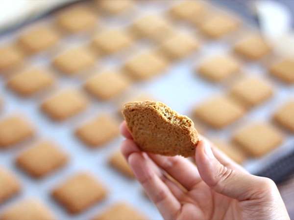 Spekulasi buatan sendiri - Persiapan langkah 5