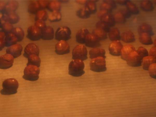 Lolipop cokelat panas: cokelat hitam + hazelnut panggang - Persiapan langkah 1