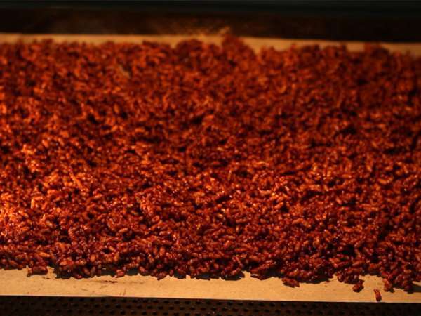 Sereal beras kembung cokelat. Kelapa muncul - Persiapan langkah 5