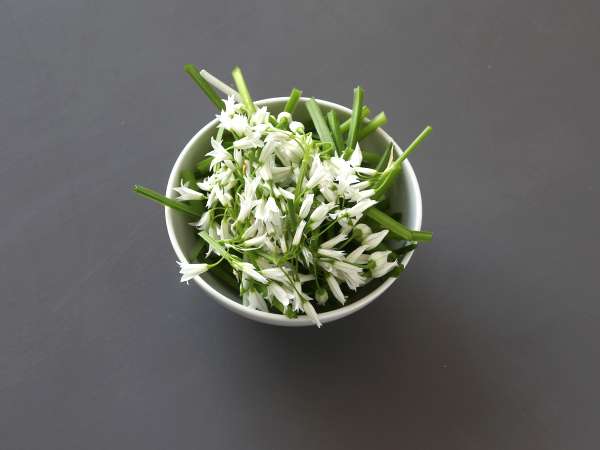 Pesto bawang putih beruang, harum dan sangat lezat! - Persiapan langkah 1