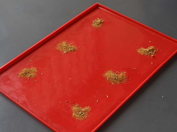 Tartelettes tatin aprikot, makanan penutup cepat saji saat Anda kedatangan tamu! - Persiapan langkah 3