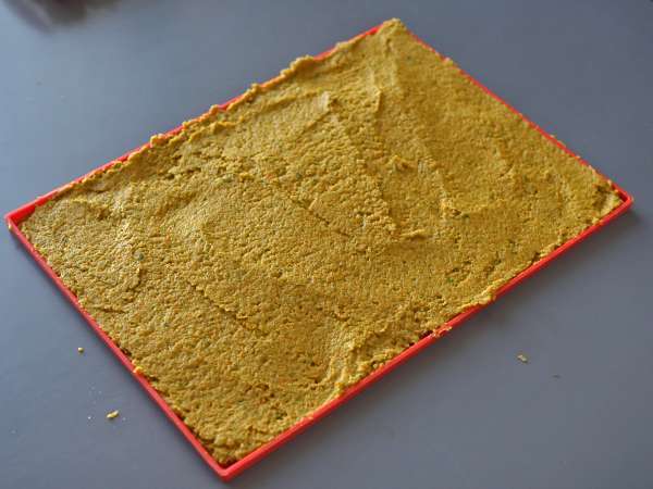 Kaldu kubus buatan sendiri, lebih ekonomis dan lebih sehat! - Persiapan langkah 10