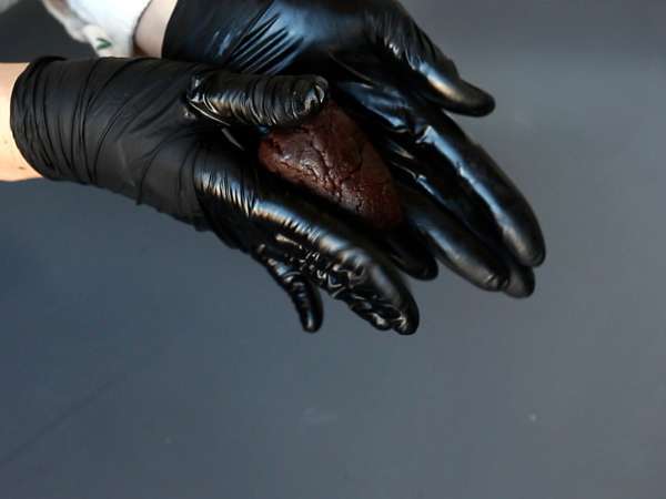 Ubah brownies Anda menjadi buah pinus cokelat! - Persiapan langkah 5