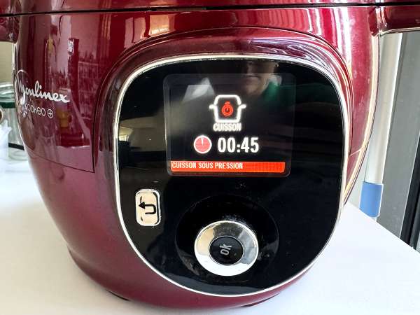 Daging babi yang ditarik di dalam Cookeo - Persiapan langkah 4