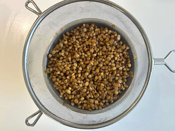 Salad lentil kaya protein dengan keju cottage, mudah dan cepat - Persiapan langkah 1