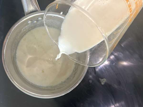 Palak tofu: kari India dengan bayam dan tahu - Persiapan langkah 2