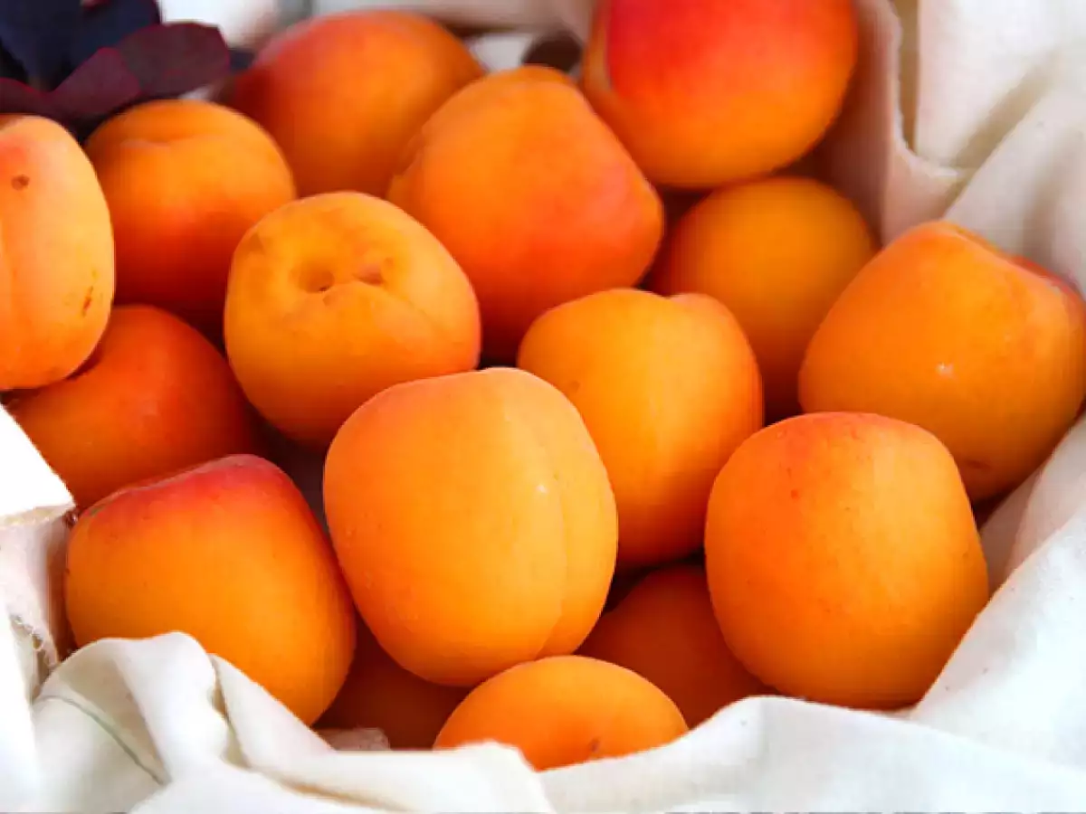 Aprikot yang diisi dengan tuna dan rosemary - foto 6