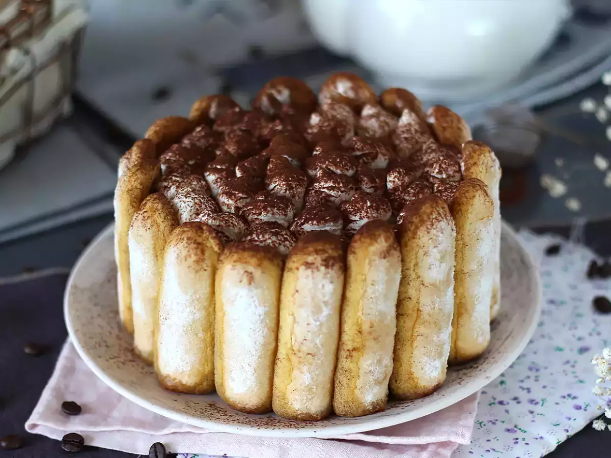 Charlotte Tiramisu Lezat Tanpa Telur - foto 2