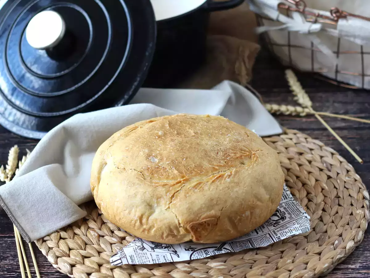 Cocotte rasa sakit yang sangat mudah - foto 5