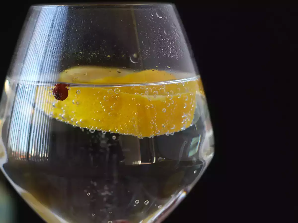 Gin dan tonik, koktail klasik untuk aperitif! - foto 5