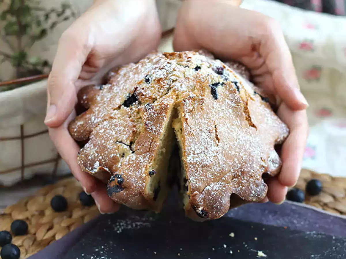 Pai blueberry pyrenean - foto 3