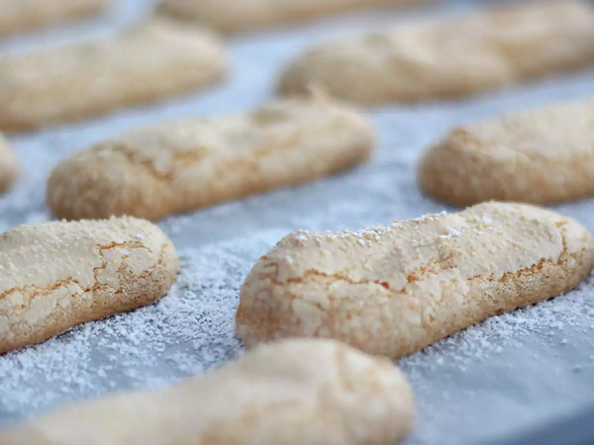 Resep Biskuit Ladyfinger Anti Gagal