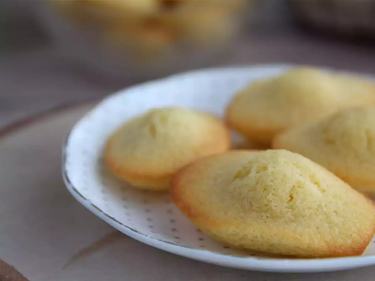 Resep mudah untuk madeleine polos dan lembut - foto 4