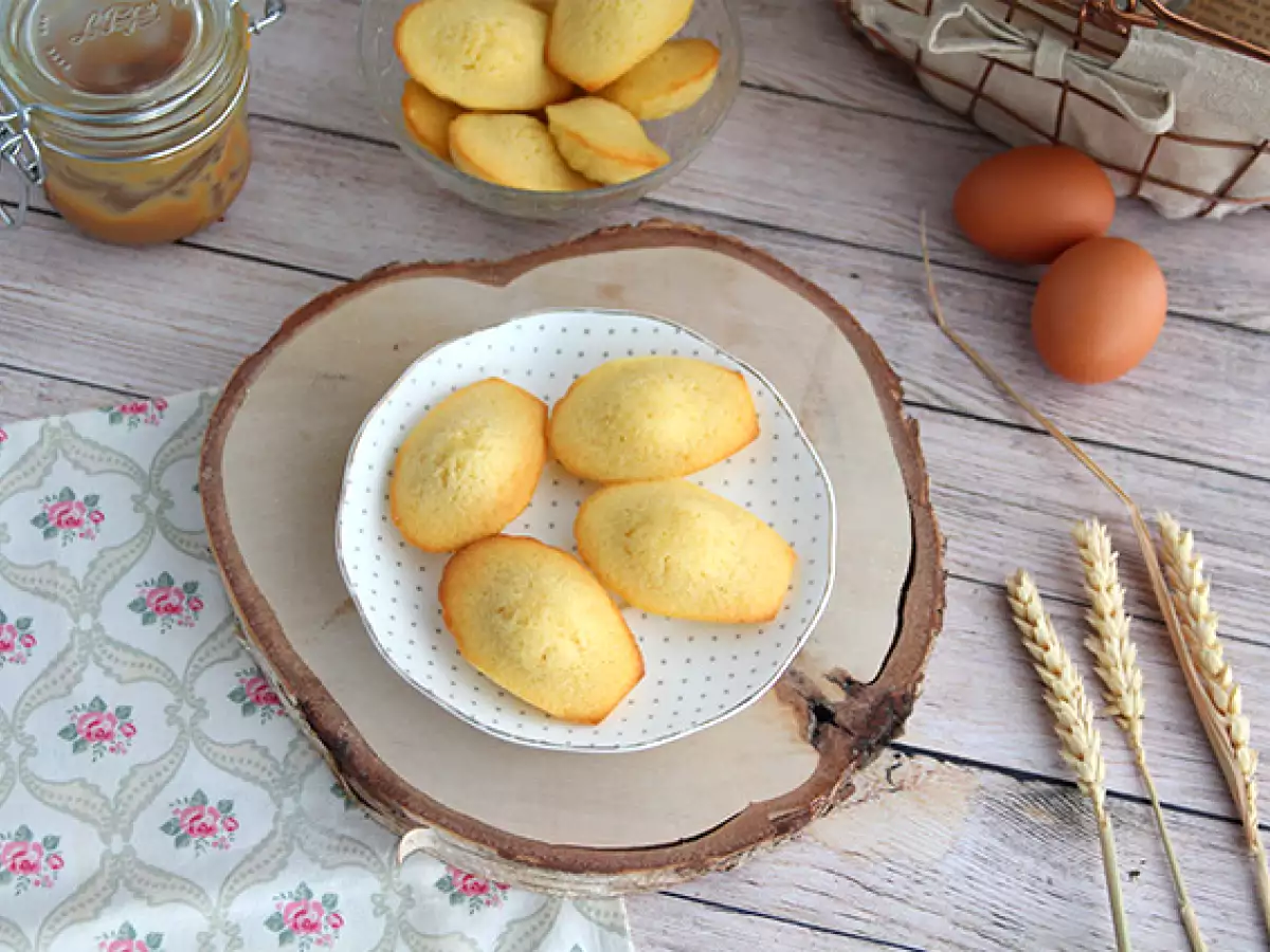 Resep mudah untuk madeleine polos dan lembut - foto 5