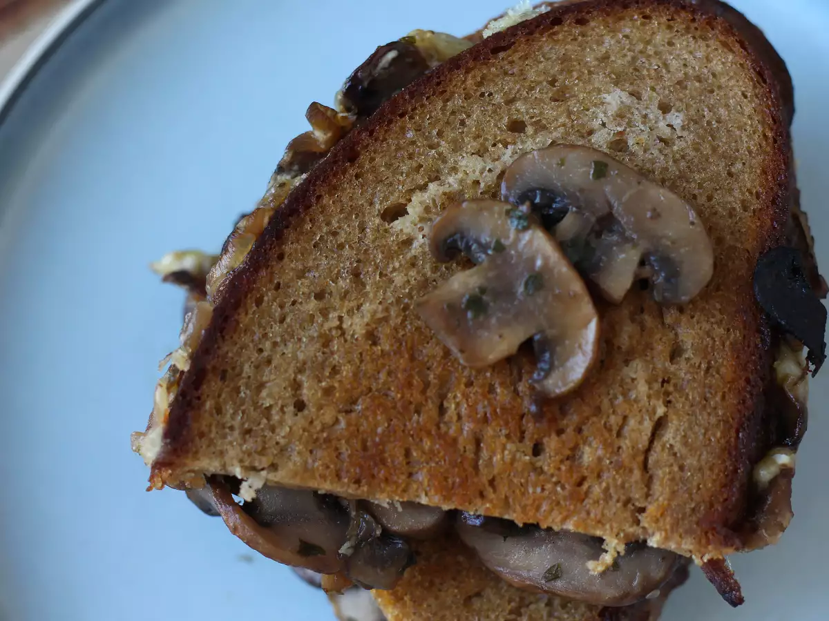 Sandwich keju panggang dengan jamur dan keju parut - foto 2